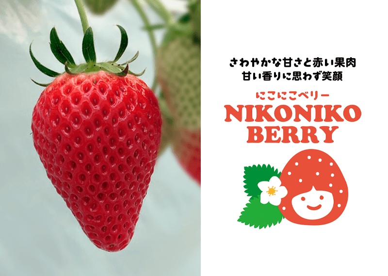 いちごを知る いちいちご 株式会社一苺一笑